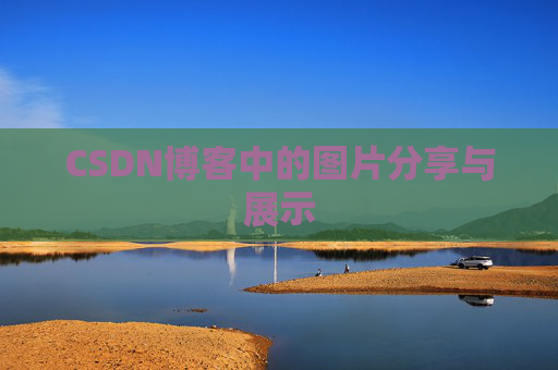 CSDN博客中的图片分享与展示